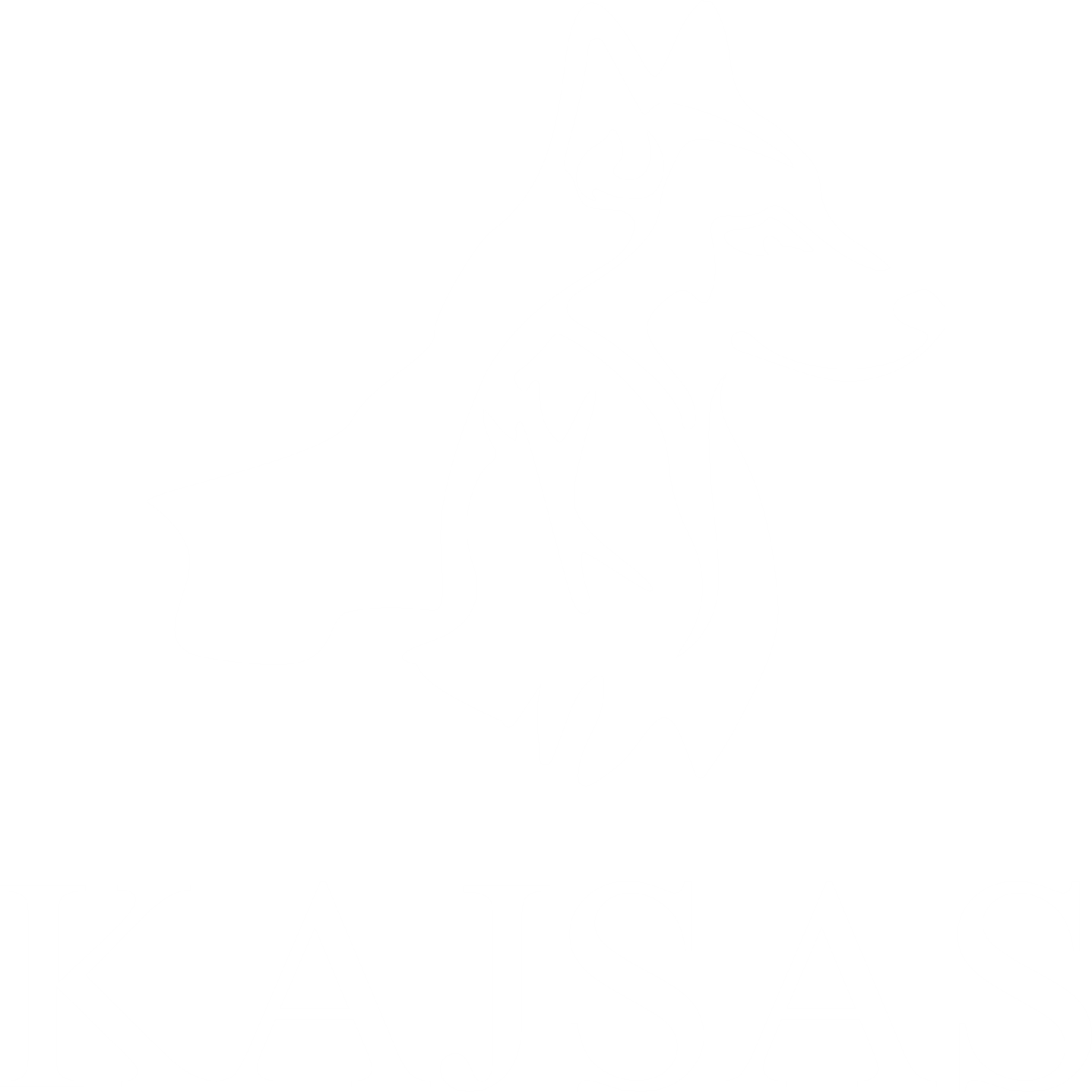 Kajsas Vertriebs GmbH